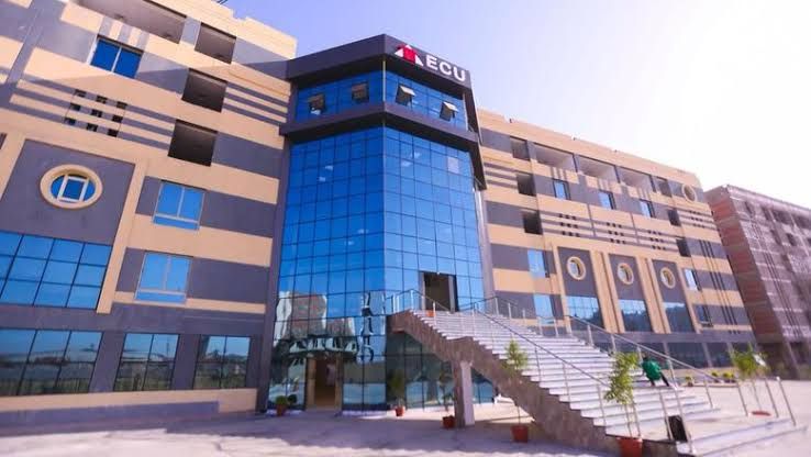 الجامعة المصرية الصينية تنظّم المنتدى العربي الصيني الدولي للطب التقليدي بمشاركة نخبة من الخبراء 1 IMG 20250412 WA0054