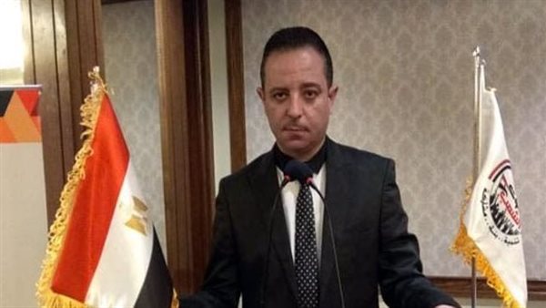 هيثم طواله: 30يونيو أعادت شريان الحياة من جديد للمصريين