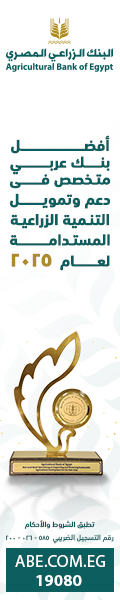 صورة وهمية